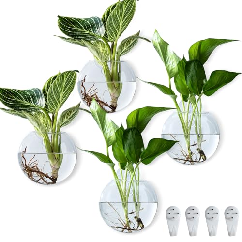 Wall Hanging Planter Propagation Station, Oblate Glass Flower Vase for Propagation, Wall Planter for Indoor Plants, Modern Home Office Corridor Bathroom Decor (4)