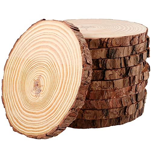 JEUIHAU 10 PCS 5.9-6.3 Inches Natural Unfinished Wood Slices, Round Wooden Tree Bark Discs, Wooden Circles for DIY Crafts, Christmas, Rustic Wedding Ornaments - size: 10 PCS 5.9-6.3 In without Holes