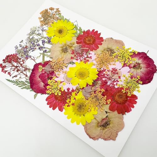 Cayway 40 PCS Dried Pressed Flowers for Resin, Real Pressed Flowers Dry Leaves Kit Natural Dried Pressed Leaves for Art Crafts Resin Scrapbook Supplies Soap Candle DIY, Pink and Red Rose - color: Red-pink-40