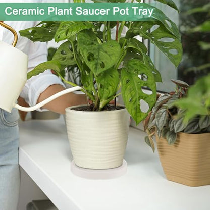 M METERXITY 2-Pack Ceramic Plant Saucer, 6.3 Inch Plant Water Catcher Tray, Plant Pot Saucers for Indoor/Outdoor Plants/Flower Drainage Drip Water Tray [Round Beige] - color: Beige