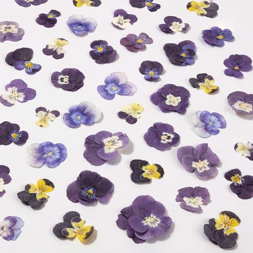 60Pcs Dried Pressed Pansies Flowers for Cake Decorating, Purple Real Dry Flower for Resin Art Crafts Jewelry Decorations - size: Purple 60pcs
