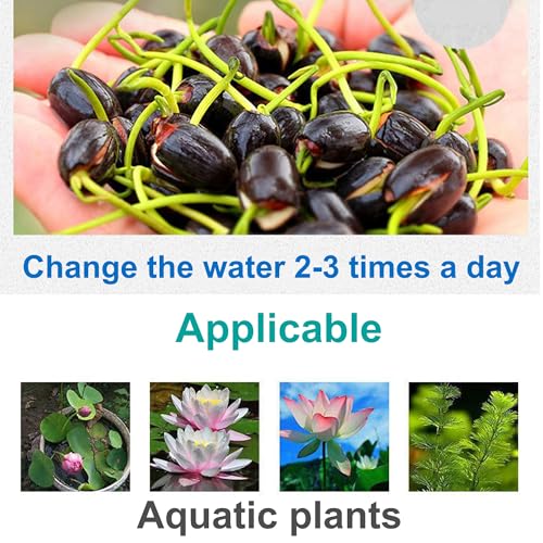 Aquatic Soil for Pond Plants 5.5LBS, Pond Clay Aquarium Soil Suitable for Water Lily and Water Plant, Pond Potting Media for Aquatic Plant