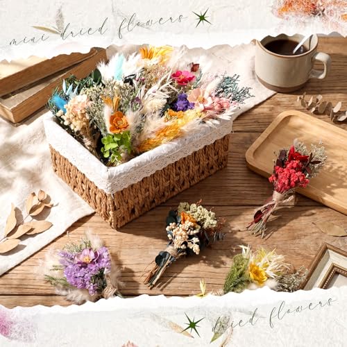 Layhit 12 Pcs Mini Dried Flower Bouquet Boho for Wedding,Camellia | Rustic Boutonniere Bridesmaid Gifts,Handmade Dry Flowers Decor, Bulk Dried Flowers in Vase, DIY Crafts Home Decor - style: Camellia