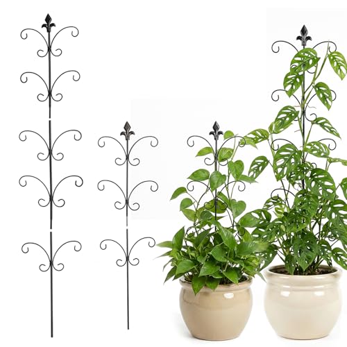 Metal Monstera Plant Support 2-Pack, Adjustable Height Steel Plant Trellis for Pothos, Vining & Climbing Potted Plants, Indoor & Outdoor, Sturdy Rotatable Plant Stakes with Rounded Ends, 31" & 46"