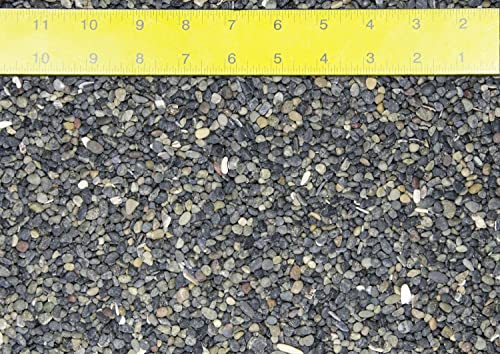 30 Lbs. Criva Bean Pebbles for Bonsai Tree Humidity/Drip Tray, Zen/Fairy Garden, Aquarium and Fish Tank