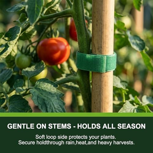 Plant Tape – Reusable Hook and Loop Plant Ties for Climbing Plants, Adjustable Garden Tape for Tomatoes, Vines & Indoor Plants | Nylon, 0.47 in Wide | 1 Roll, 49ft