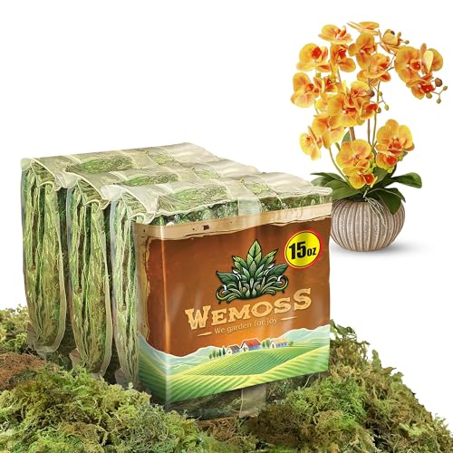 Natural Moss for Plants Indoor, Dried Moss for Potted Plants, Orchid Moss for Repotting, Forest Moss for Orchid Potting Mix, Decorative Moss Filler for Planters and Craft Moss (15oz)