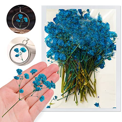 Blue Dried Flowers Babysbreath for Resin, 42PCS Natural Real Pressed Gypsophila Flowers with Stem, Dry Flowers for Resin Jewelry DIY Phone Case Decor Crafts Candle Making - color: Babysbreath With Stem-blue