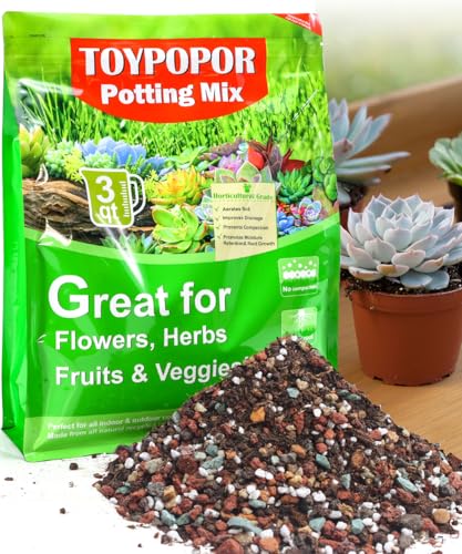 TOYPOPOR Succulent Soil, Cactus Potting Mix 6 Pounds/3QTS, High Drainage, Pre-Mixed Ready to Use for All Succulent Varieties, Indoor Plants, Bonsai, Terrarium, Houseplant, 70% Particles 30% Soil - color: 70% particles + 30% soil, size: 3 qt
