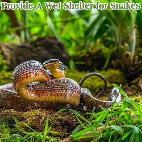 Sphagnum Moss for Reptiles, 6 oz Natural Terrarium Bedding Substrat | Long-fibered Sphagnum Moss for Reptile, Holds Humidity for Bearded Dragons, Geckos, Snakes, Turtles, and Hermit Crabs - size: 6 OZ