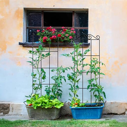 ARIFARO 4Pack 57.5'' Metal Garden Trellis for Climbing Plants Outdoor | Thicken Steel Trellis, For Indoor/Outdoor, Tomato, Cucumber, Rose, Flower, Potted Plants, Houseplants, Climbing Vines, Black - size: 57.5 inches