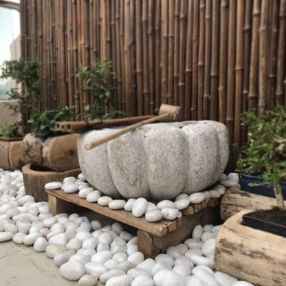 10LB White River Rocks - 2-3 inch High Polished Decorative Pebbles for Landscaping, Outdoor Decor and Plants - size: 10LB, style: White