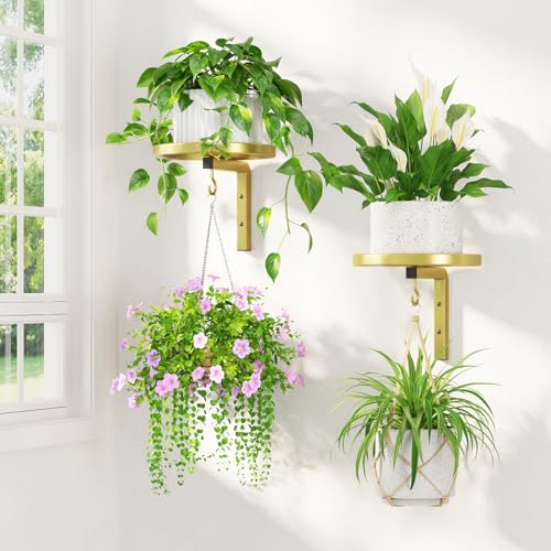 LASZOLA Plant Hanger Holder Window Shelf Wall Mounted Indoor, 2 Pcs Gold | Modern Metal Floating Stand, Hanging Flower Display Rack, with Hooks for Outdoor Home Kitchen Decor - color: Gold, size: 2