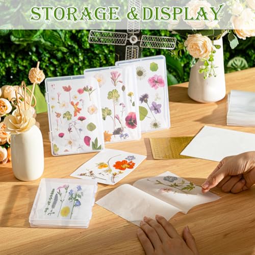 AmazingSpark 218 Pcs 8 Set Dried Flower Storage Kit with 8 Storage Boxes, 100 Blotting Paper, 100 Self Adhesive Bag, 2 Letter Sticker 8 Desiccant Pressing Flower Preservation to Keep Color and Dry