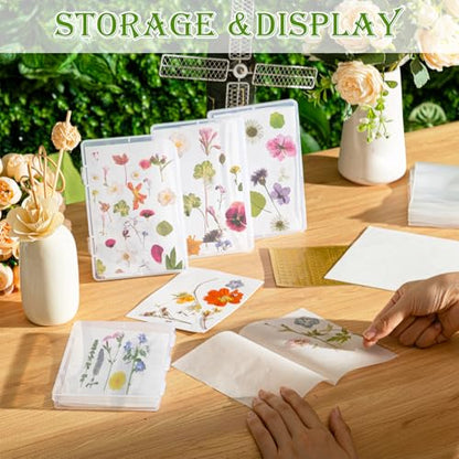 AmazingSpark 218 Pcs 8 Set Dried Flower Storage Kit with 8 Storage Boxes, 100 Blotting Paper, 100 Self Adhesive Bag, 2 Letter Sticker 8 Desiccant Pressing Flower Preservation to Keep Color and Dry