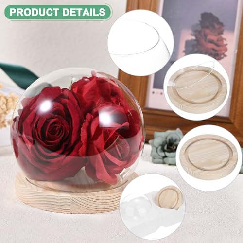 M METERXITY Cloche Glass Dome, D4.7In Ball Jar with Wooden Base for DIY Snow Globes/Small Plants/Flowers/Candles/Models/Souvenirs, Glass Display Case [Wood] - color: Wood, size: D4.7In
