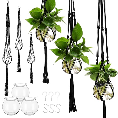 Colingmill 6 Pcs Plastic Plant Propagation with Boho Macrame Hanger Wall Plant Propagation Station Hanging Holder Include Hooks Kit for Indoor Home Garden Office Decor 3 Size (Black) - color: Black