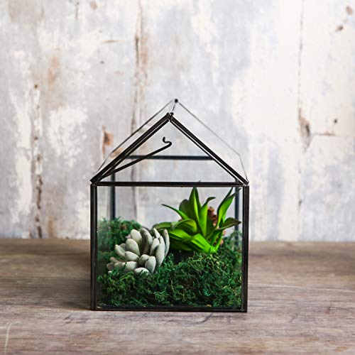 House Shape Close Glass Geometric Terrarium Tabletop Succulent Plant House Garden Planter Moss Fern Swing Lid, Flower Pot for Plants Succulent, Air Plant (Black)