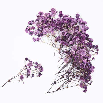 50Pcs Babys Breath Dried Pressed Flowers for Crafts,Xinxinran Purple Dry Flowers Kit for Wedding Invitation Accessories,Bookmark,Jewelry Molds,Candle Making Supplies,Soap,Frame,Cakes - color: Purple Baby's Breath