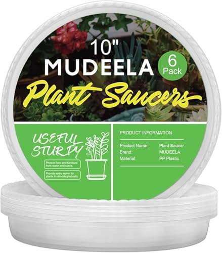 MUDEELA 6-Pack Plastic Plant Saucers Tray for Indoor, 10 Inches, Clear | Durable, Thicker, Stronger, Deeper, Round Plant Dish Pant Plate to Catch Water for Flower and Plant Pot - size: 10" - 6 Pack