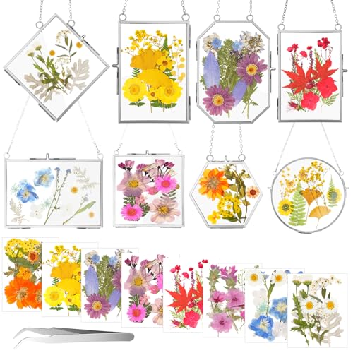 Barydat 8 Set Glass Pressed Flower Frames Gifts for Craft Home Decor,Silver - color: Silver