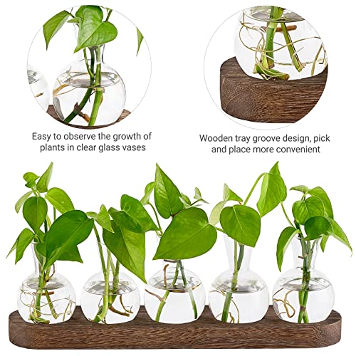 Mkono Plant Terrarium with Wooden Stand, Wall Hanging Glass Planter Desktop Plant Propagation Vase with Metal Swivel Retro Rack for Hydroponics Plants Home Office Decor