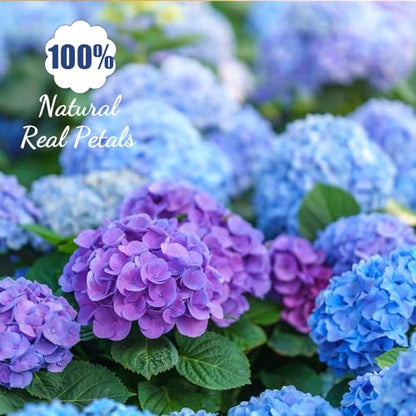 96 Pcs Pressed Edible Flowers, Blue, Flower Style | Natural Dried Flowers for Cake Topper Cupcake, Cocktails Garnish, Resin Jewelry DIY, Soap, Candle Making Art Crafts - color: Blue, style: Flower Style