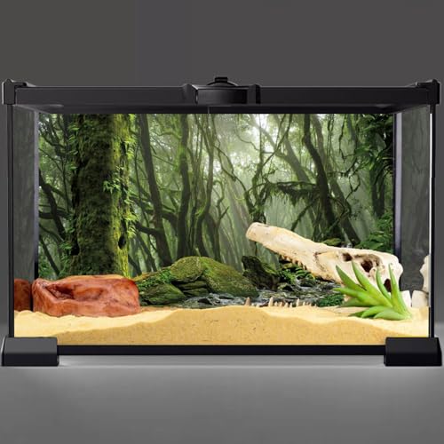 48x24 in Terrarium Backdrop Foggy Forest Stream Reptile Habitat Background - size: 48x24in/120x60cm