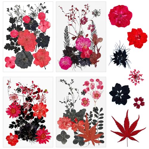 Cayway 64 PCS Dried Pressed Flowers for Resin, Red and Black Real Pressed Flowers, Dry Leaves Natural Dried Pressed Leaves for Christmas Art Crafts Resin Scrapbook (Red-Black-2) - color: Red-black-2