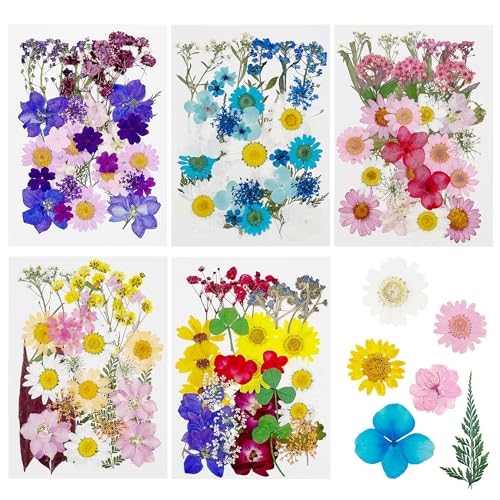 Cayway 170 PCS Dried Flowers for Resin, Real Nature Dried Pressed Flower Leaves for DIY Nail Art Cards Jewelry Making Epoxy Resin Molds Candle Accessories Floral Decors, Multicolor - color: 170pcs-multicolor