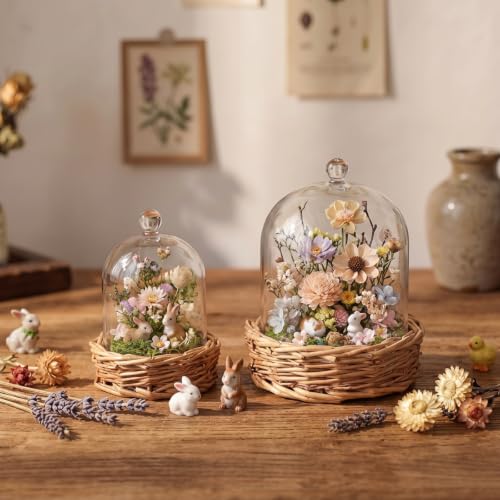 AceOrbit 2 Pack Clear Cloche Glass Dome with Woven Rattan Base Display Cloche Bell Shape Dome for Antique Collectibles Specimens Dustproof Home Decoration, 5.1" & 3.5" Wide