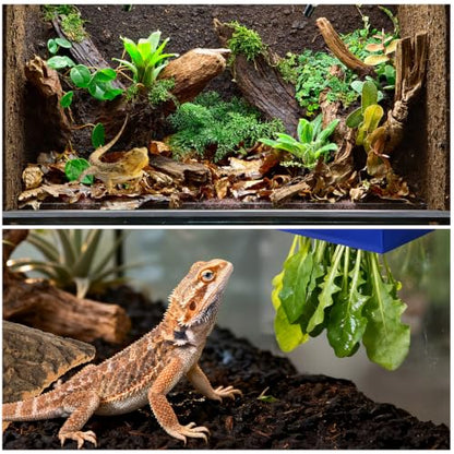 Acrux7 6PCS Cork Bark for Reptile 11.8x11.8 Inch Terrarium Background Panel | Natural Bark Backdrop and Climbing Mat for Gecko, Lizard, Chameleon, Beared Dragon, Turtle Habitat Decor, Hiding Area