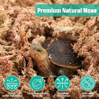 ZeeDix 1.1 lb Sphagnum Moss for Plants Indoor, Natural Long Fiber Sphagnum Orchid Moss Bulk for Carnivorous Plants, Succulents, Monstera, Flower & Reptile Terrariums Habitats (Expands to 25 qt) - size: 1.1 pounds