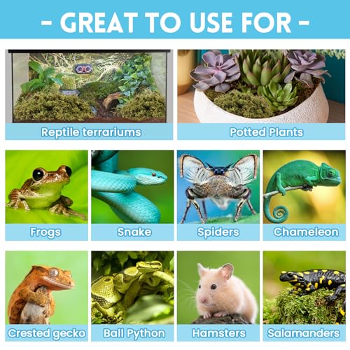 Riare 7 OZ Natural Sphagnum Moss for Reptiles, Terrarium Substrate Bedding | High Expansion, Moisture Retention, Helps Shedding, Long Fibered Dried Moss for Leopard Gecko, Snake, Frog, Turtle - color: 7 OZ