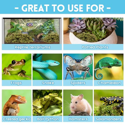 Riare 7 OZ Natural Sphagnum Moss for Reptiles, Terrarium Substrate Bedding | High Expansion, Moisture Retention, Helps Shedding, Long Fibered Dried Moss for Leopard Gecko, Snake, Frog, Turtle - color: 7 OZ