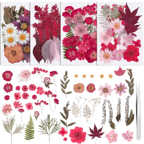 100 Pcs Real Natural Dried Pressed Flowers Pink - color: Mixed Pink
