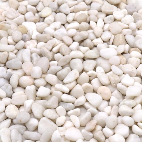 White Polished Rocks for Plants, Decorative Pebbles, 0.5-1 Inch, 18 lb - color: WHITE - LIGHTLY POLISHED, size: SM (0.5 to 1 Inch)