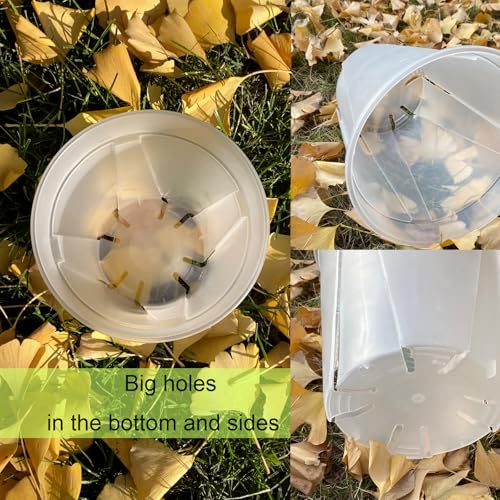 Clear Plant Nursery pots with Saucers,5/6/7/8 inch 8 Pack | for Indoor & Outdoor Plants,monstera pot with drainage holes, monitor soil moisture and root health, semi-clear PP material - size: 5/6/7/8 inch with trays