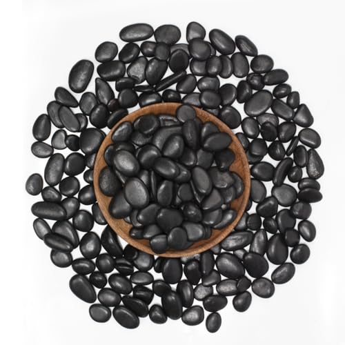 10 lbs Black River Rocks - Large Polished Black Pebbles for Plants & Garden Decorative Stones，0.5-1" Polished Pebbles for Landscaping, Fish Tanks, Flower Pots, Water Fountains - color: Black, size: Weight: 10 LB