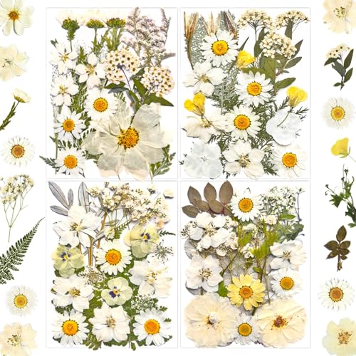 MIKIYA 90Pcs White Dried Pressed Flowers for Resin Molds, Real Natural Bulk Dry Floral Leaves for DIY Art Crafts, Epoxy Jewelry, Candle, Soap Making, Nails Decors Gifts - color: White
