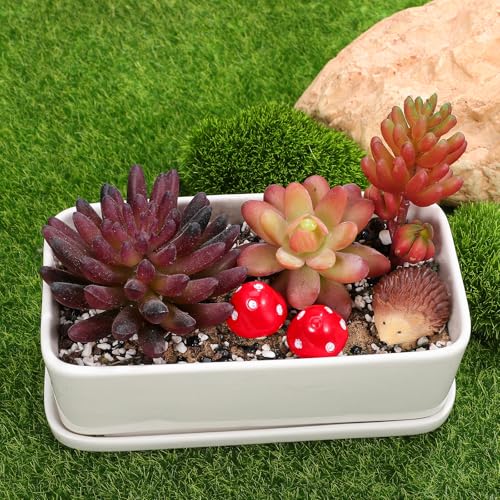 Toyvian Mini Resin Hedgehogs Figurines and Mushroom Decor Set 6-Piece Miniature Garden Accessories for Fairy Gardens Terrariums Plant Pots Tabletops and Craft Projects