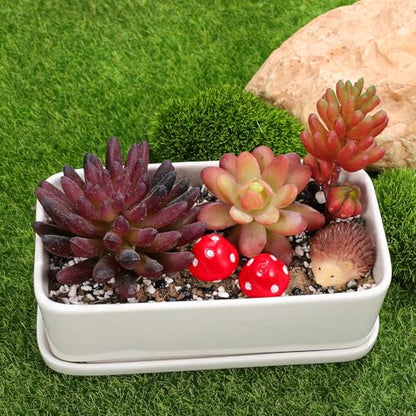 Toyvian Mini Resin Hedgehogs Figurines and Mushroom Decor Set 6-Piece Miniature Garden Accessories for Fairy Gardens Terrariums Plant Pots Tabletops and Craft Projects