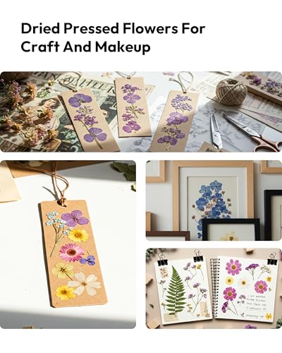 Dried Flowers, Resiners 58Pcs Pressed Flowers for Craft Purple Real Natural Dried Flowers Dry Leaves Kit for DIY Making Crafts Resin Soap Candle Scrapbook Supplies Card Making Jewelry - color: Violet 58pcs