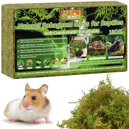 Halatool 12 OZ Sphagnum Moss for Reptiles - Green Terrarium Moss - size: 12OZ