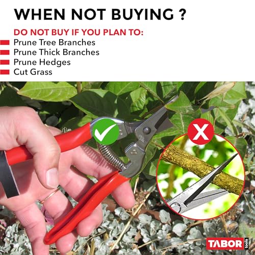 TABOR TOOLS K17A Pruning Snips – 7.5" – Stainless Steel Flower Pruning Scissors for Gardening | Floral Snips and Pruners for Deadheading, Trimming & Harvesting Herbs, Flowers, Fruits or Vegetables - style: K17A Florist Scissors