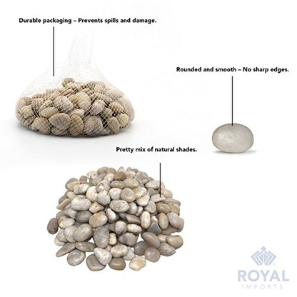 Royal Imports River Rocks, Aquarium Gravel – Light 1"- 1.5" - 5 lbs | Decorative Ornamental Vase Filler Pebbles for Potted Plants, Terrariums, Vases, Succulents, Fish Tank Gravel, DIY & Crafting - size: Medium - 5 lbs, style: Light