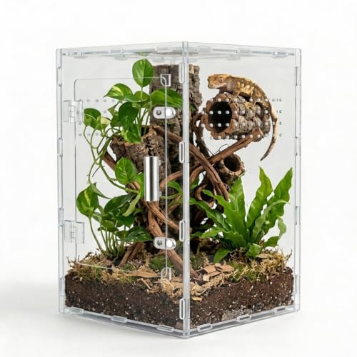 8x8x12 Clear Acrylic Terrarium Vertical for Spider Reptile - color: Clear