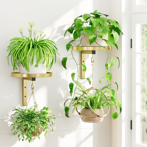 iDavosic.ly Plant Wall Hanger Holder Set of 2 for Indoor Outdoor, Gold - color: Gold, size: 2 Pack