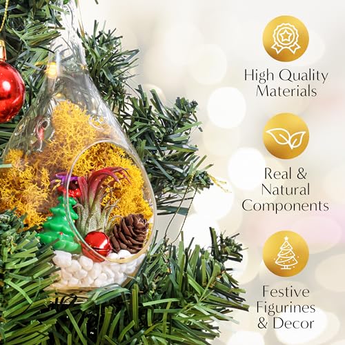 Creations by Nathalie DIY Air Plant Terrarium Kit with Glass Terrariums | DIY air plant terrarium kit with glass terrariums, moss, and decorative supplies for creating indoor displays with air plant. - size: Glass Globe + Glass Teardrop Ornament