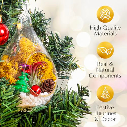 Creations by Nathalie DIY Air Plant Terrarium Kit with Glass Terrariums | DIY air plant terrarium kit with glass terrariums, moss, and decorative supplies for creating indoor displays with air plant. - size: Glass Globe + Glass Teardrop Ornament